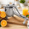 29 Manual Fruit Press
